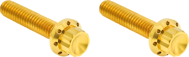 Arlen Ness 300-708 Bolt Kit - Titanium - 12-Point - M8/Twin Cam - Gold