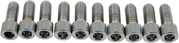 Drag Specialties DS-190544S Bolts - Socket-Head - Smooth - 5/16-18 x 3/4"