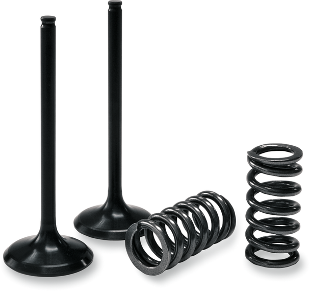 PROX 28.SIS1336-2 INTAKE VALVE/SPRING KIT