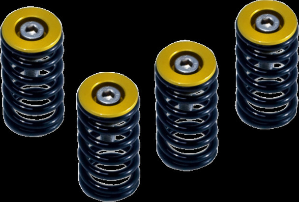 Barnett 519-25-06090 Clutch Spring W/ GOLD Ducati