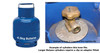 Continental Low Pressure Butane Gas Regulator - 8mm