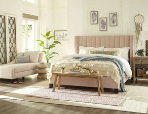 The Dharma Collection