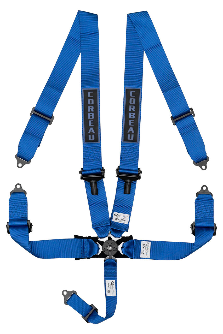 3-Inch 5-Point Harness Belts Camlock Blue