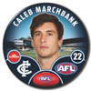 2023 AFL Player Badge