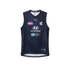 2024 PUMA Mens Training Guernsey