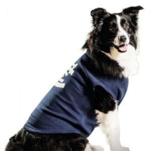 Carlton Dog Coat - Large