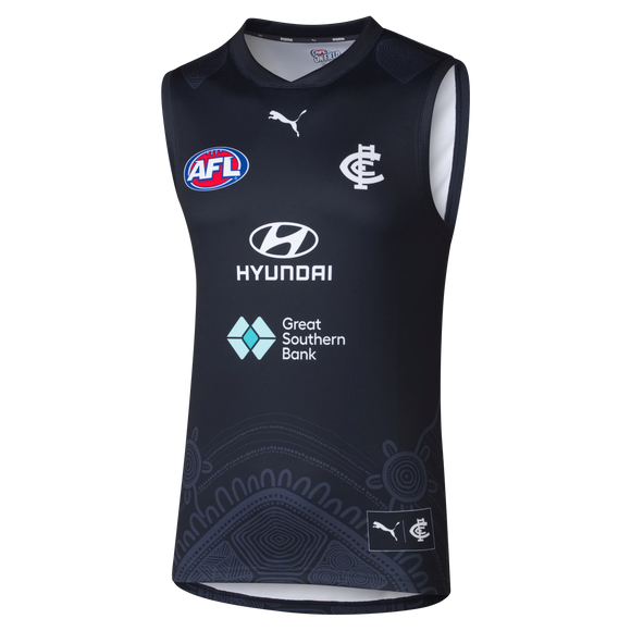 2026 PUMA Men's Training Guernsey