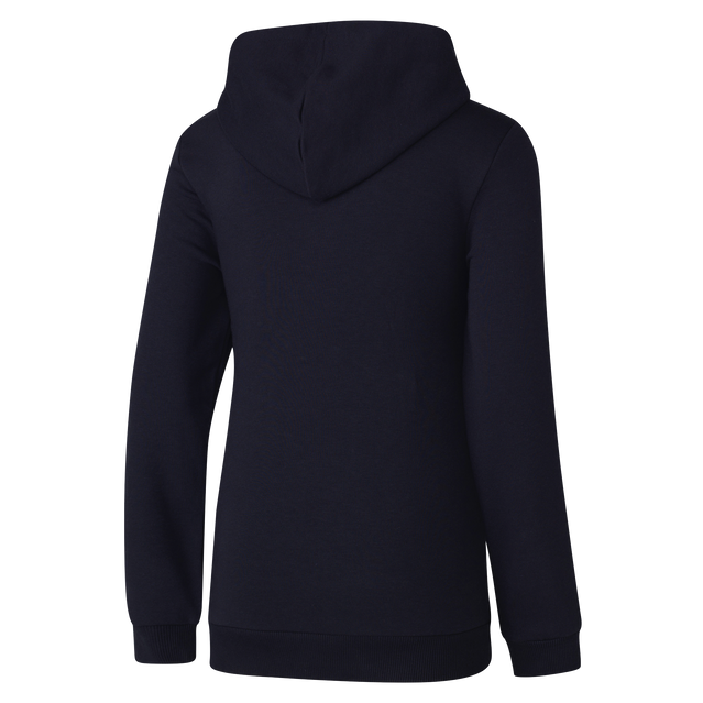 Back view of the Carlton PUMA Unisex Bold Graphic Hood.