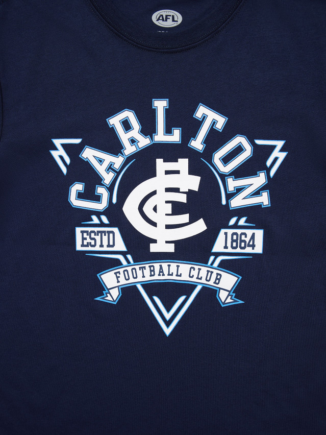 Close-up of the banner graphic on the Youth Banner Tee.