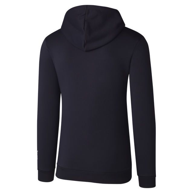 Back view of the 2025 Carlton PUMA Unisex Graphic Hoodie.