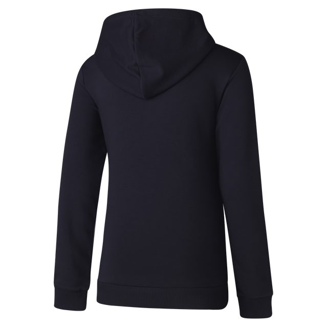 Back view of the 2025 Carlton PUMA Youth Graphic Hoodie.