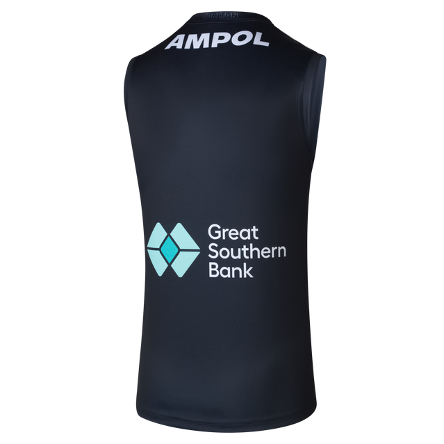 Back view of the 2025 Carlton PUMA Mens Blueout Guernsey.