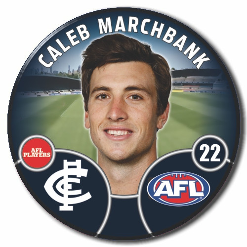 2022 AFL Player Badge