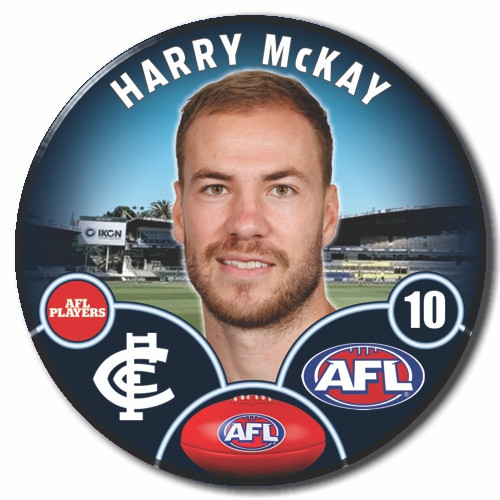 2023 AFL Player Badge