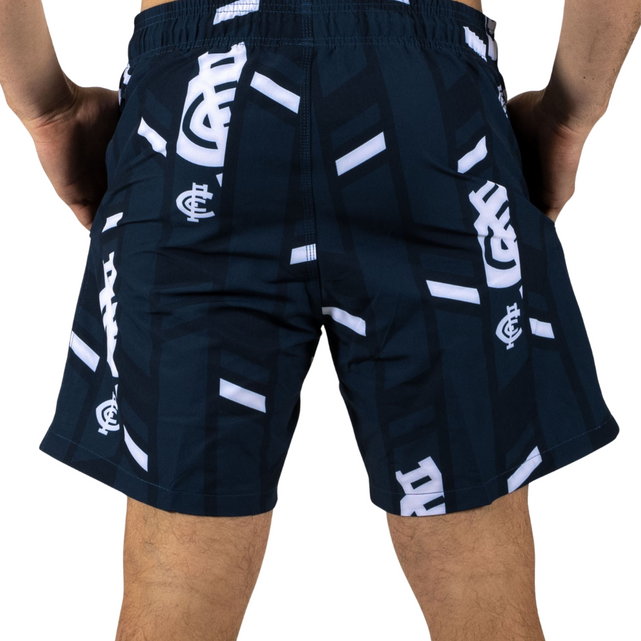 Back view of the Carlton Riviera Volley Swim Shorts by Ashtabula.