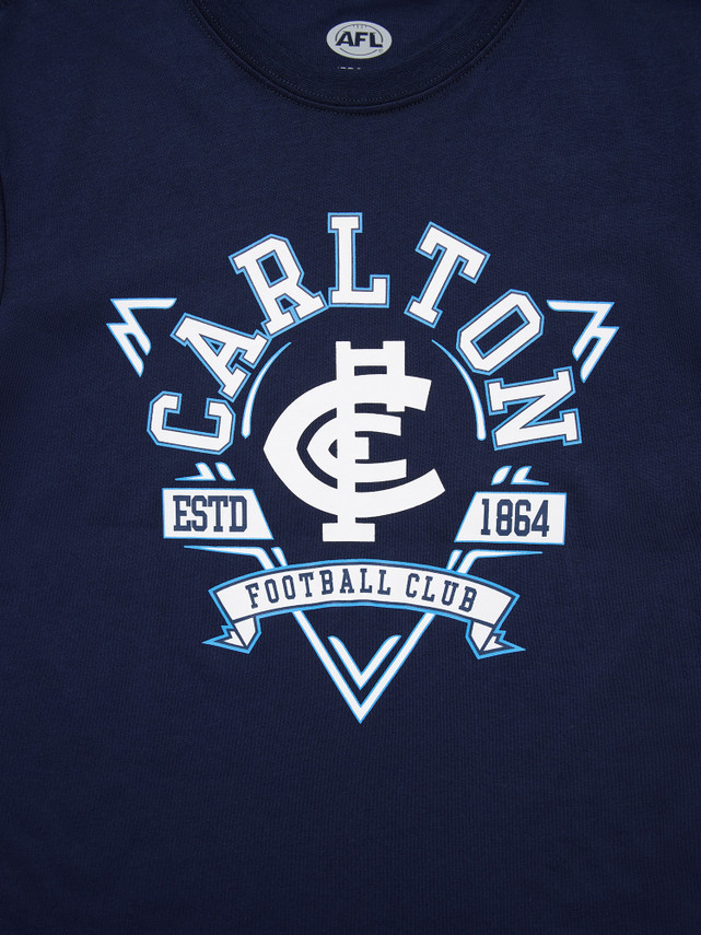 Close-up of the banner graphic on the Youth Banner Tee.