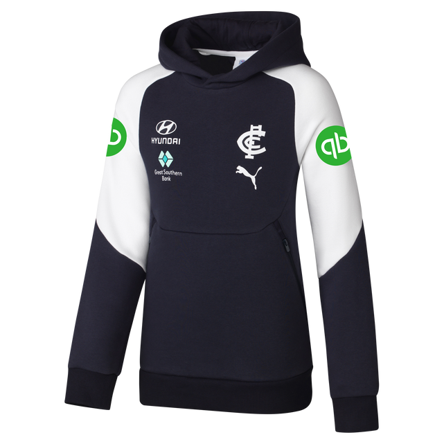 Front view of the 2025 PUMA Youth Team Hoodie.