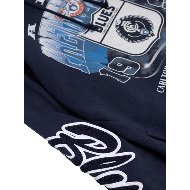 Close-up of the '95 Premiership graphic on the Mitchell & Ness Hoodie.