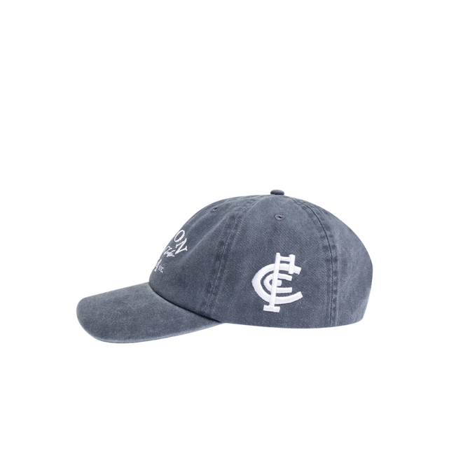 Side view of the Carlton Acid Wash Dad Cap by NAR.
