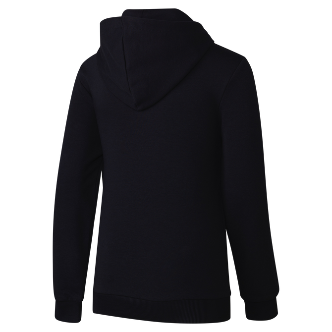 Back view of the Carlton PUMA Youth Graphic Hoodie.