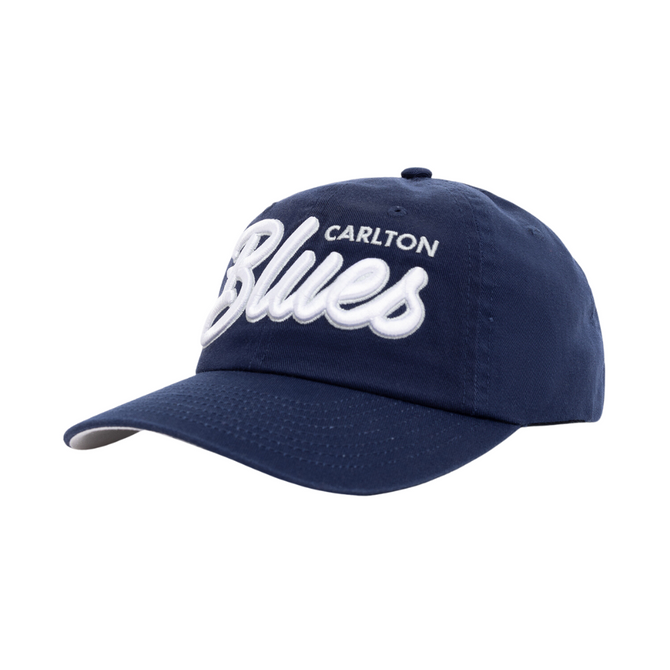 Team Script Dad Cap