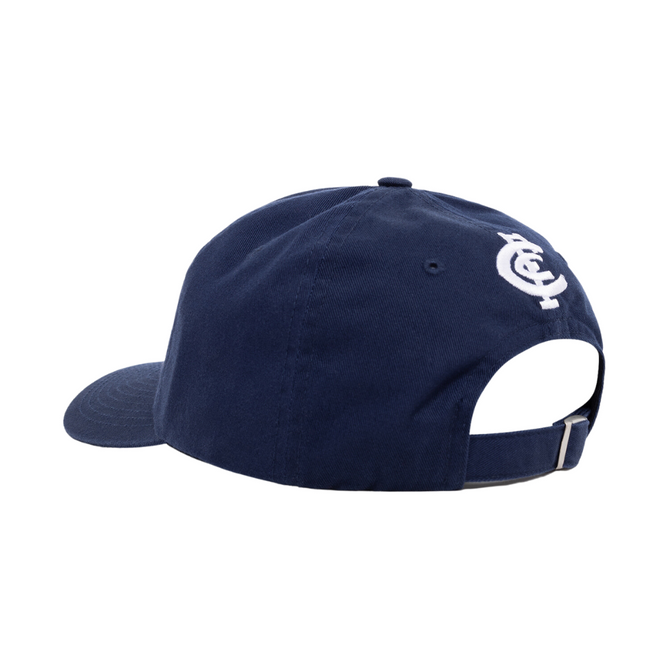 Team Script Dad Cap