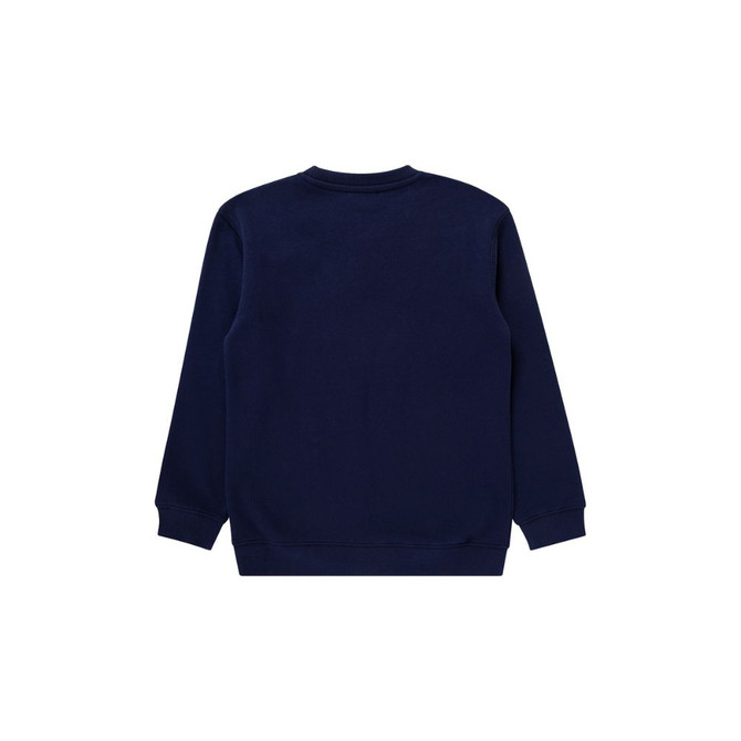 Back view of the Carlton 1864 Youth Crew sweatshirt by NAR.