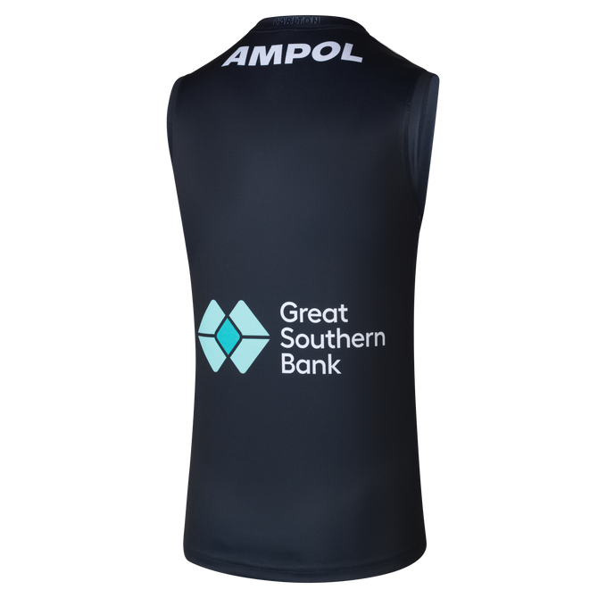 Back view of the 2025 Carlton PUMA Mens Blueout Guernsey.
