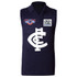 Close-up of the '95 Grand Final badge on the Carlton Wool Guernsey.