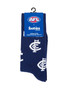 Front/Top view of the Foot-ies Carlton Blues Sock.