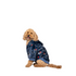 Back view of the Carlton Dog Oodie Original on a dog.