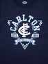 Close-up of the banner graphic on the Youth Banner Tee.