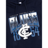 Close-up of the chest graphic on the Youth Supporter Hood.