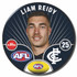 2026 Carlton AFL Player Badge