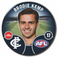 2022 AFL Player Badge