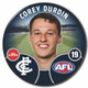 2022 AFL Player Badge