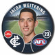 2022 AFL Player Badge
