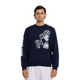 Front view of the W24 Carlton Mens Patchwork Crew sweatshirt by NAR.
