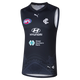 2026 PUMA Men's Training Guernsey