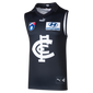 Front view of the 2024 Carlton PUMA Adult Heritage Guernsey.