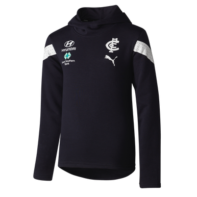 2023 PUMA Youth Team Hoodie - The Carlton Shop