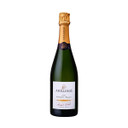 Champagne Authentic Meunier - Apollonis