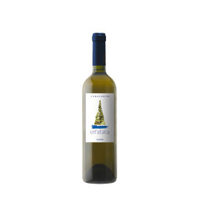 Infatata Vino Bianco 2023 - Caravaglio