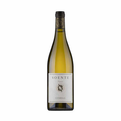 Viognier Soente Falesco 2018 - Cotarella