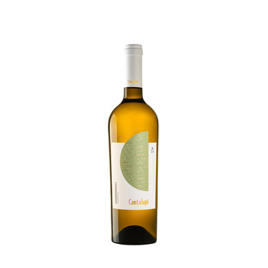Cantalupi Chardonnay 2021 - Conti Zecca