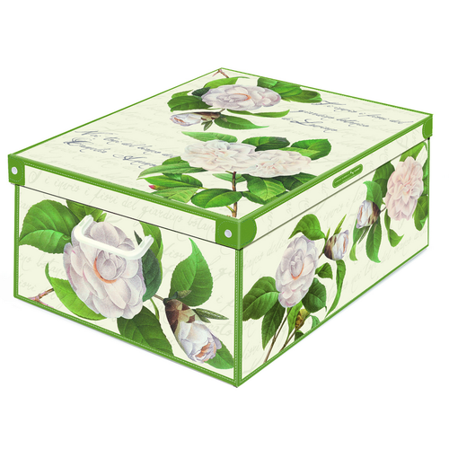 LAVATELLI SCATOLA CAMELIE 39x50x24