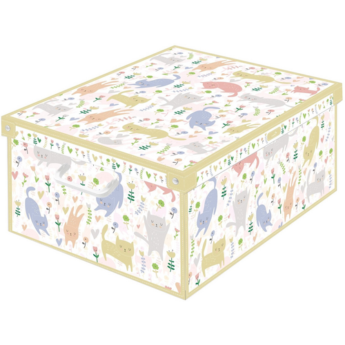 LAVATELLI SCATOLA GATTI 39x50x24