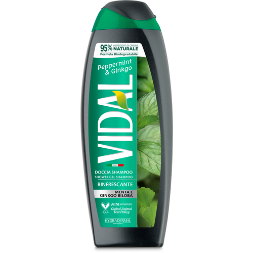 VIDAL DOCCIA SCHIUMA250 ML MINT & GINKGO