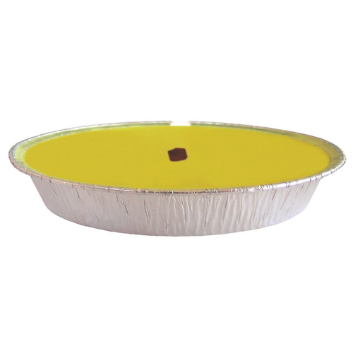 CITRONELLA VASO IN ALLUMINIO COLOR ARGENTO DIAMETRO 14 CM