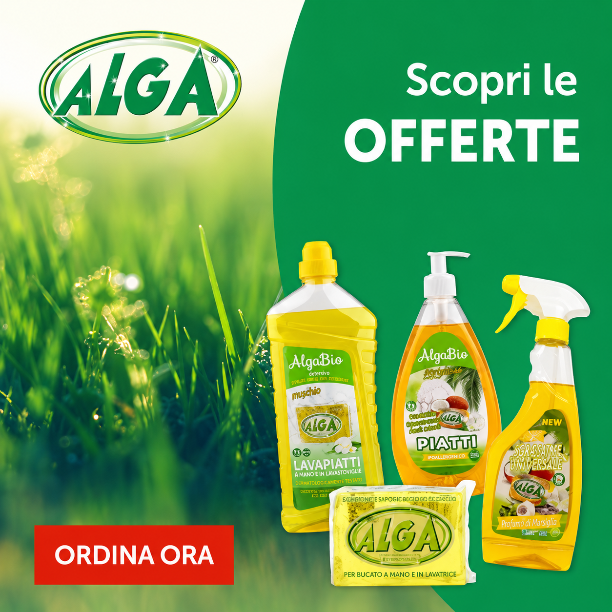 PROMO ALGA